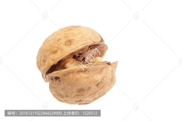 白背景核桃