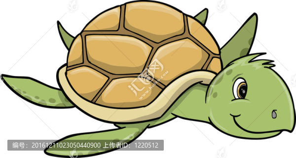 海龜藝術(shù)插畫