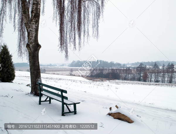 雪地長凳