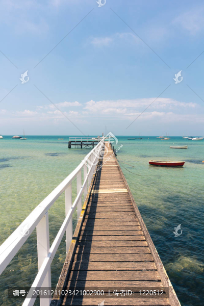 夏天的碼頭