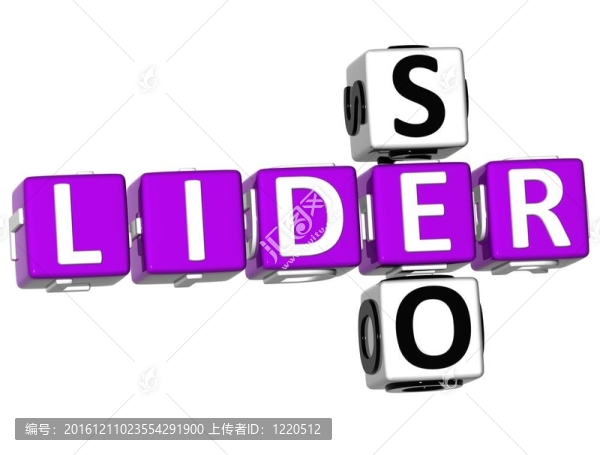 3D,Seo,Lider,Crossword