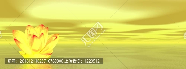 黃莉莉花