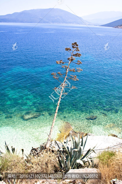 Agia,Efimia海灘；Kefalonia
