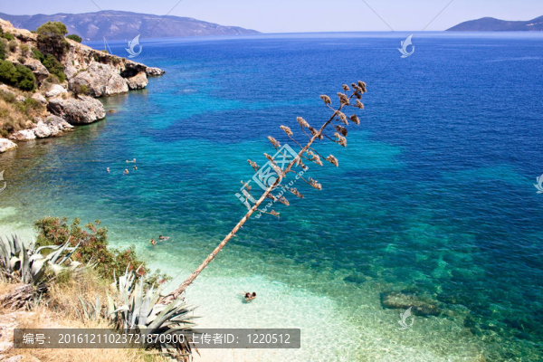 Agia,Efimia海灘；Kefalonia