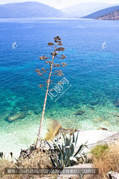 Agia,Efimia海灘；Kefalonia
