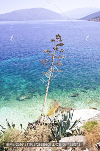 Agia,Efimia海灘；Kefalonia