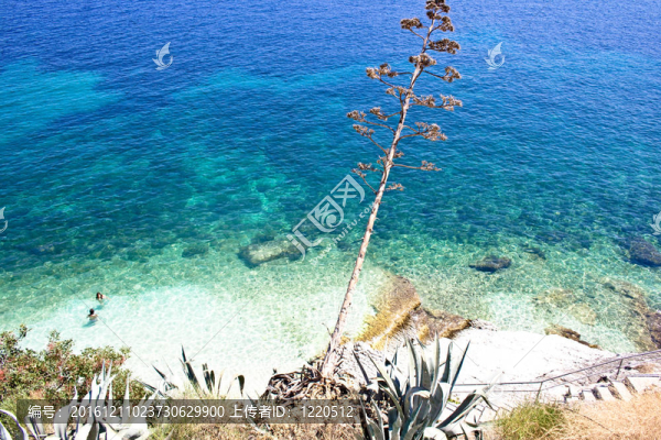 Agia,Efimia海灘；Kefalonia