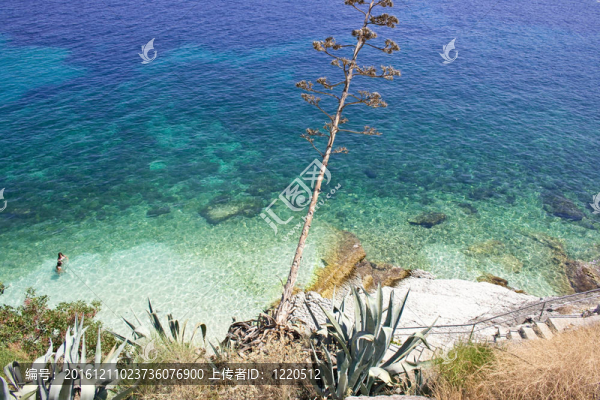 Agia,Efimia海灘；Kefalonia