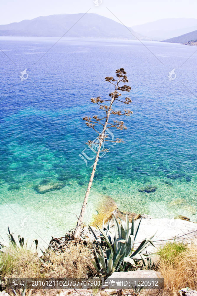 Agia,Efimia海灘；Kefalonia