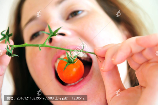 新鮮的西紅柿
