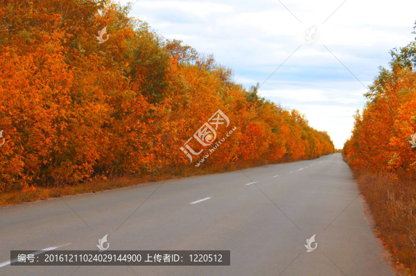 距離