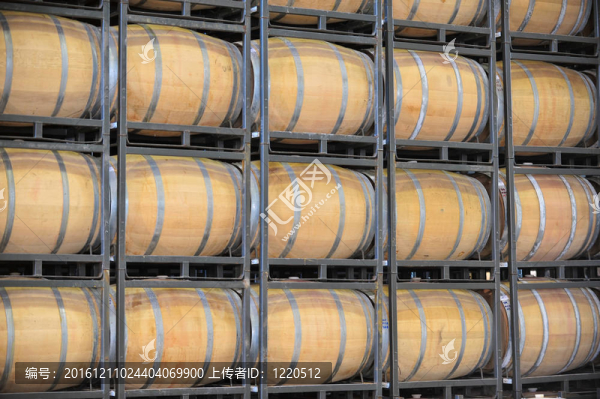 葡萄園里的酒桶