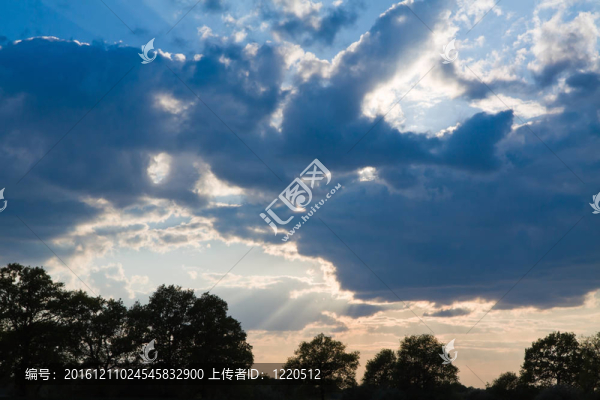 天空與森林剪影