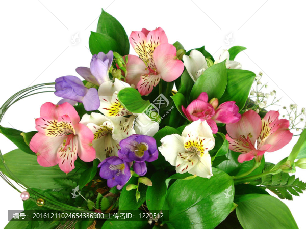 一束鮮花