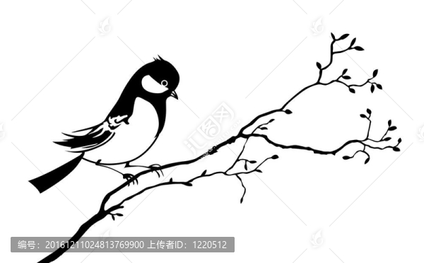 樹枝上鳥的剪影