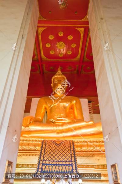 Ayutthaya的Golden,Buddha雕像