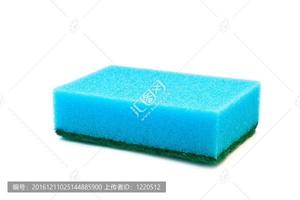 海綿