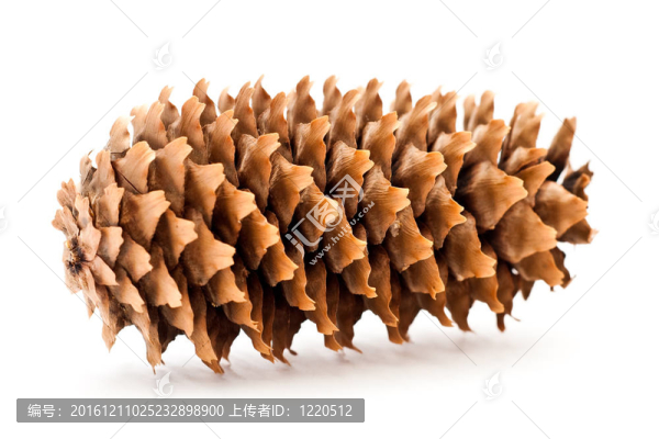 錐