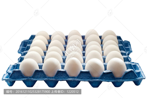 雞蛋