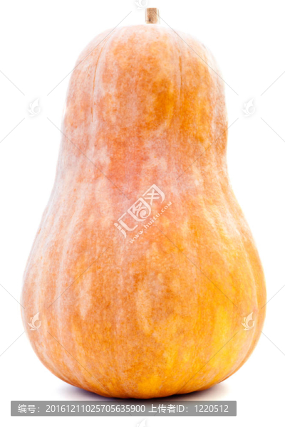 南瓜