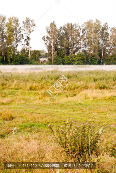 美麗的風(fēng)景
