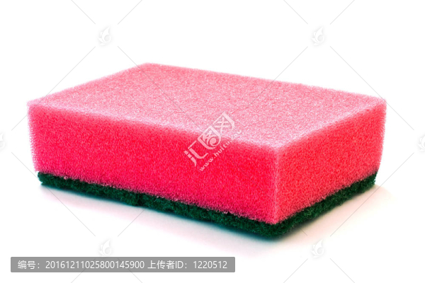 海綿