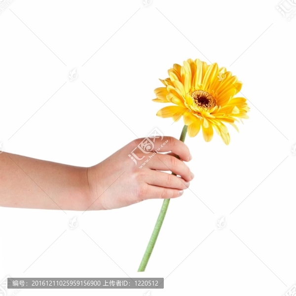 花手