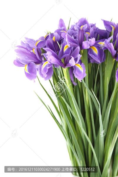 一束花