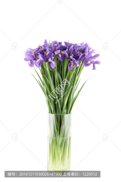 一束花