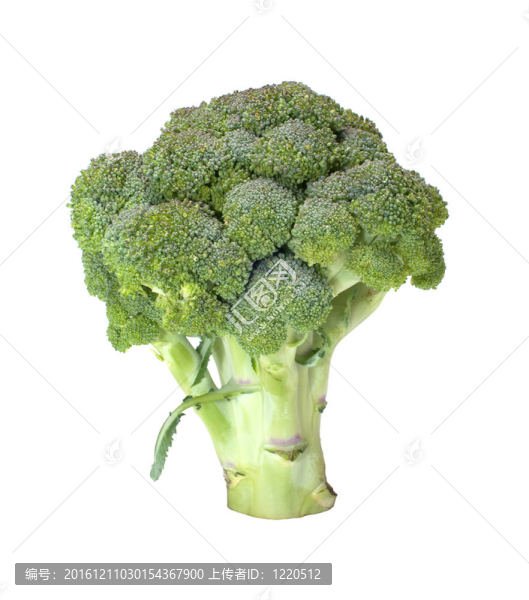 西蘭花。