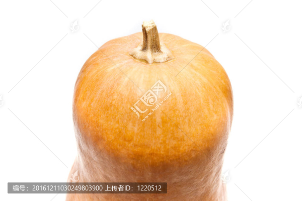 南瓜