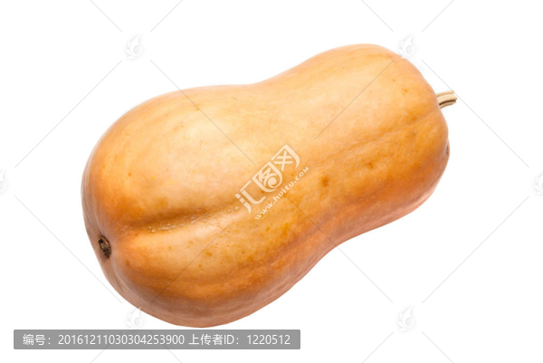 南瓜