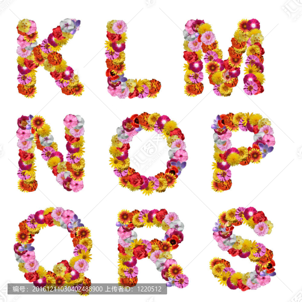 字母的花