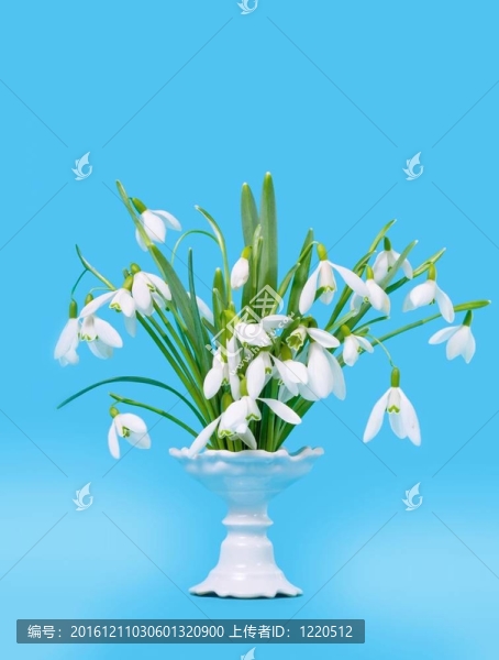 花瓶中的花