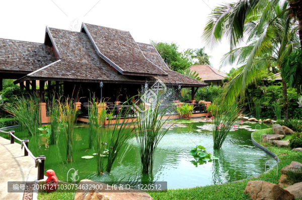 在豪華酒店的露天餐廳和綠色的池塘；Samui島；泰國(guó)