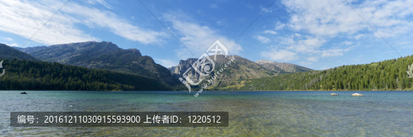 菲爾普斯湖，大提頓