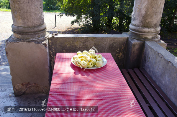 表在歷史莊園陽(yáng)臺(tái)
