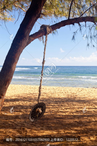 海灘上的繩蕩