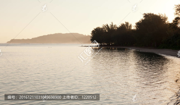 霧日出灣