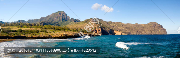 馬哈在考艾的沙灘ulepu