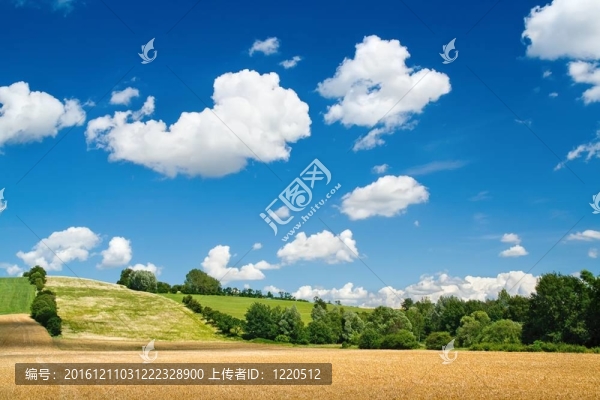 鄉(xiāng)村夏季景觀