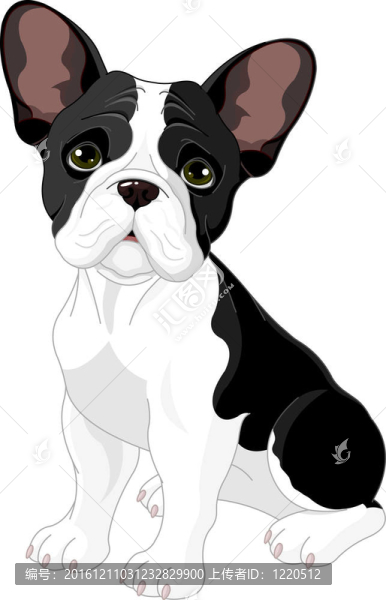 法國斗牛犬