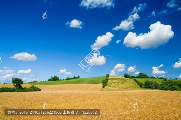 鄉(xiāng)村夏季景觀