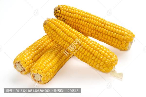 玉米