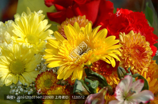 秋花