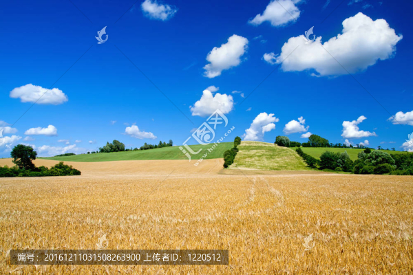 鄉(xiāng)村夏季景觀