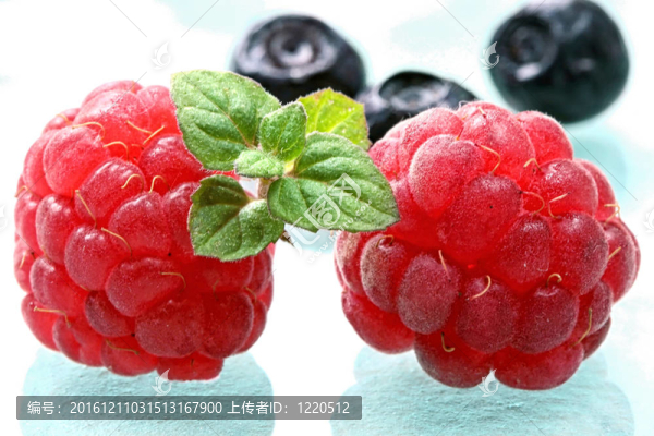 成熟的樹莓與綠葉