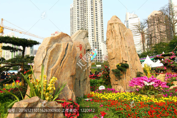 香港花卉展2011