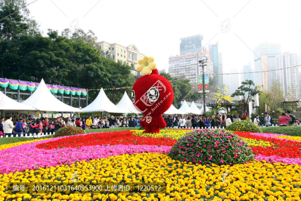香港花卉展2011