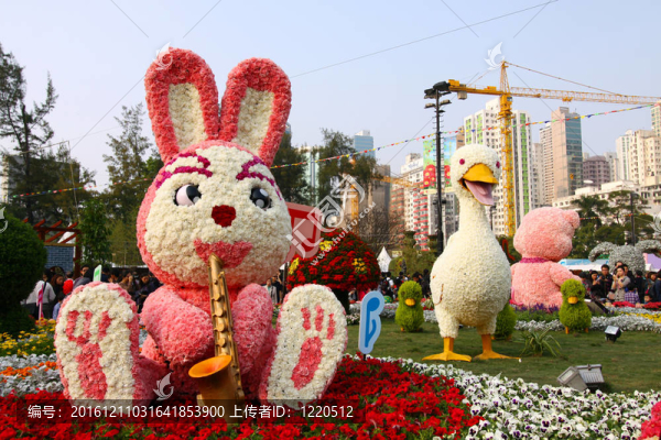 香港花卉展2011